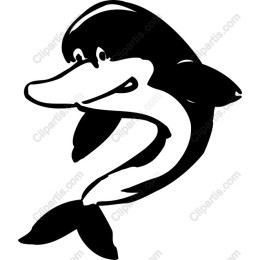 Charming Dolphin