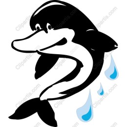 Playful Dolphin