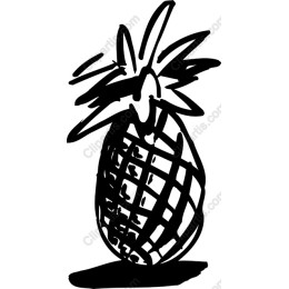 Tropical Hand-Drawn Pineapple