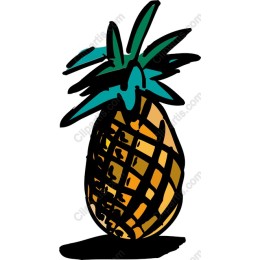 Tropical Pineapple