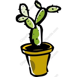 Vibrant Cactus