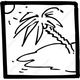 Tropical Palm Tree