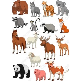 Whimsical Animal Set - 16 Cliparts