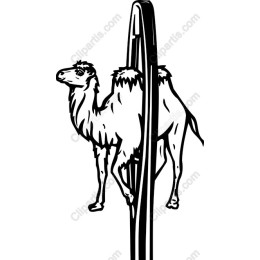 Whimsical Camel Needle