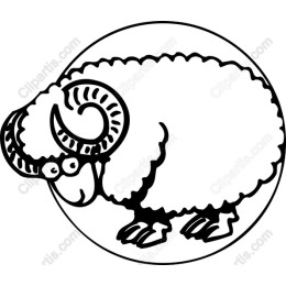 Playful Sheep