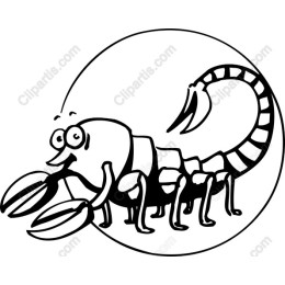 Playful Scorpion
