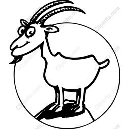 Playful Goat