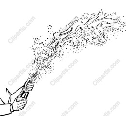 Exuberant Champagne Bottle Spray
