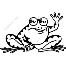 Whimsical Frog