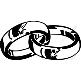 Elegant Intertwined Wedding Rings