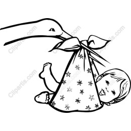 Joyful Stork Baby Delivery