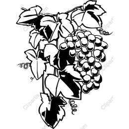 Elegant Grapevine