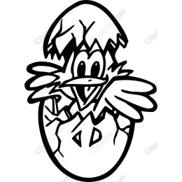 Hatching Baby Bird