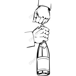 Champagne Bottle Celebration