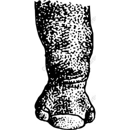 Vintage Textured Leg