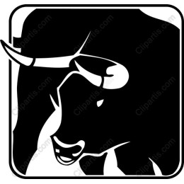 Bold Bull