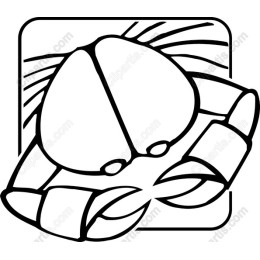 Crab
