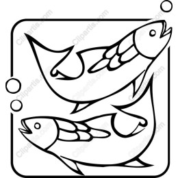 Koi Fish Delight