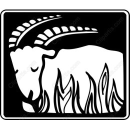 Grazing Goat