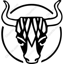 Striking Bull Head