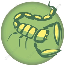Scorpion - Fierce and Elegant