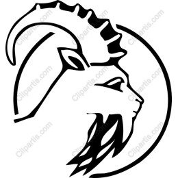 Majestic Mountain Goat