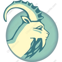 Majestic Mountain Goat