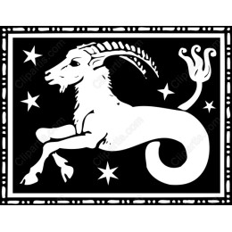 Capricorn Zodiac