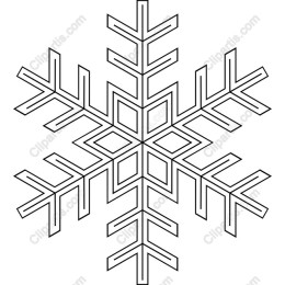 Elegant Snowflake