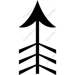 Striking Black Arrow