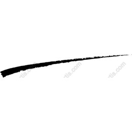 Elegant Hand-Drawn Brush Stroke