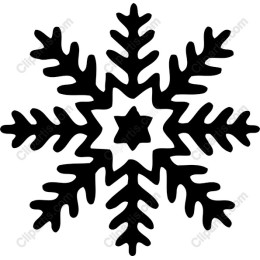 Elegant Black Snowflake