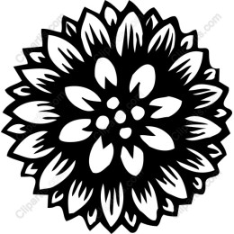Floral Elegance