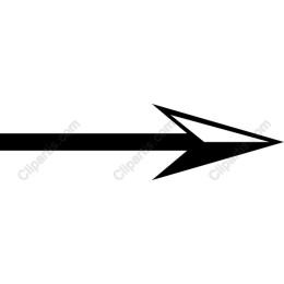 Dynamic Black Arrow
