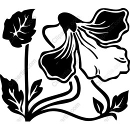 Elegant Flower