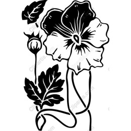 Pansy Blossom