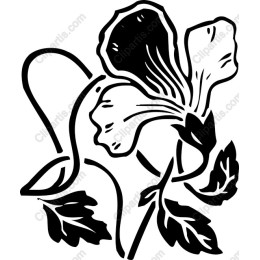 Elegant Black and White Floral