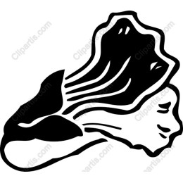 Elegant Mushroom