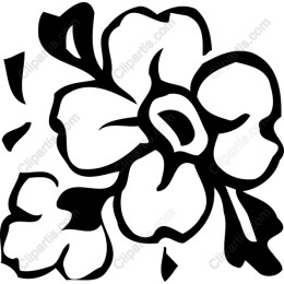 Elegant Black and White Flower
