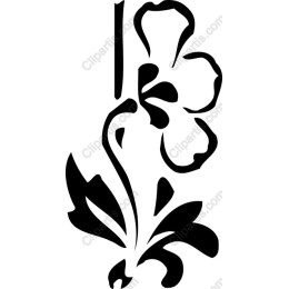 Elegant Floral