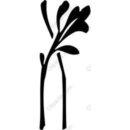 Stylish Plant