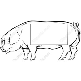 Customizable Pig