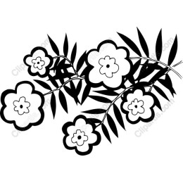 Elegant Black and White Floral