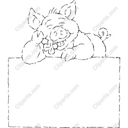 Playful Pig