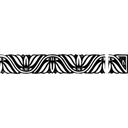 Elegant Black and White Floral