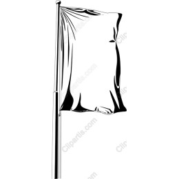 Elegant Black and White Flag