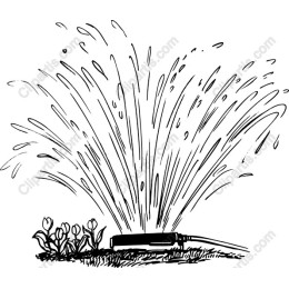 Garden Sprinklers