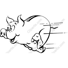 Speedy Pig
