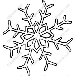 Snowflake