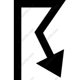 Dynamic Geometric